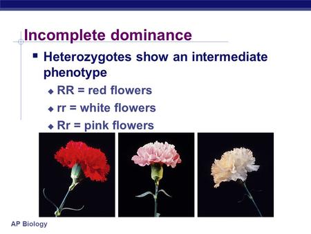 Incomplete dominance Heterozygotes show an intermediate phenotype