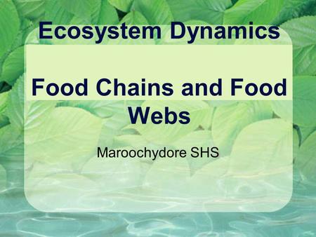Ecosystem Dynamics Food Chains and Food Webs Maroochydore SHS.