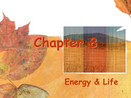 1 Chapter 8 Energy & Life. Cell Energy Energy is essential to life. All living organisms must: be able to produce energy store energy for future use,