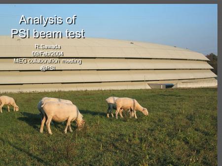 Analysis of PSI beam test R.Sawada 09/Feb/2004 MEG collaboration R.Sawada 09/Feb/2004 MEG collaboration