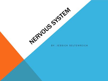 NERVOUS SYSTEM BY: JESSICA SELTENREICH. WHAT IS THE NERVOUS SYSTEM? The nervous system is broken down into two sections. The two parts are central nervous.