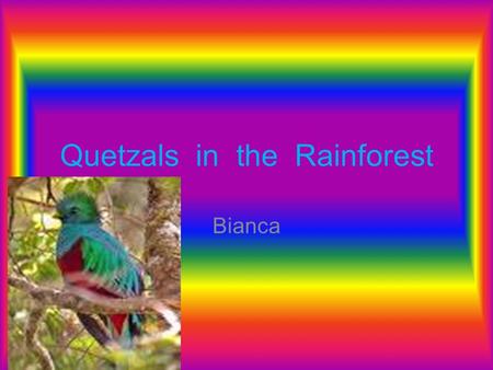 Quetzals in the Rainforest Bianca. Introduction The tropical rain Forests of the world are important. The rain forests are located in Southern Asia, south.