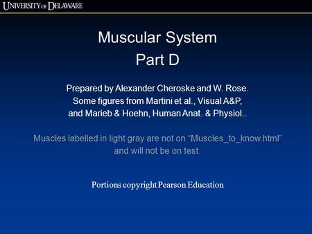 Muscular System Part D Prepared by Alexander Cheroske and W. Rose.
