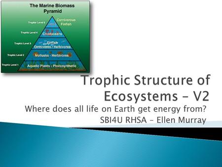 Where does all life on Earth get energy from? SBI4U RHSA – Ellen Murray.