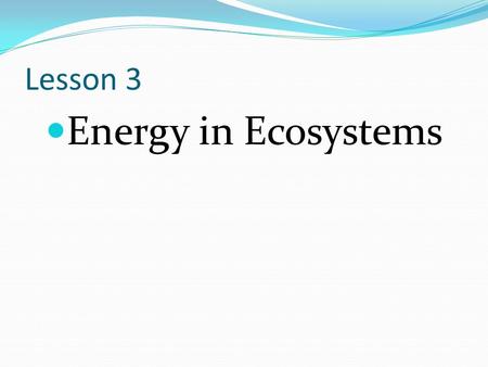 Lesson 3 Energy in Ecosystems.