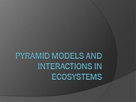 Pyramid Models  Used to show amount of matter and energy in an ecosystem  Shows the general flow of energy from producers to consumers and the amount.