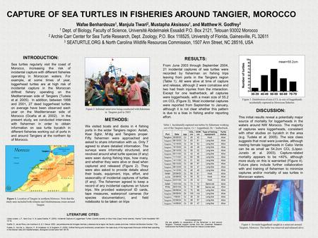 CAPTURE OF SEA TURTLES IN FISHERIES AROUND TANGIER, MOROCCO Wafae Benhardouze 1, Manjula Tiwari 2, Mustapha Aksissou 1, and Matthew H. Godfrey 3 1 Dept.