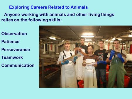Exploring Careers Related to Animals Anyone working with animals and other living things relies on the following skills: Observation Patience Perseverance.