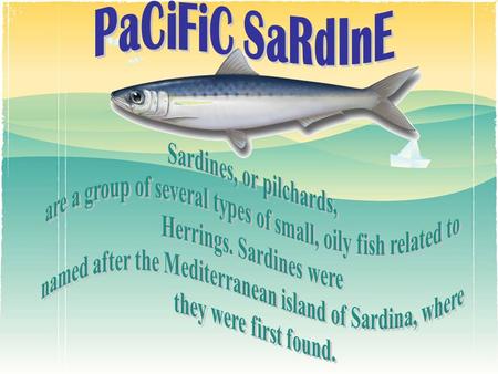 Sardines, or pilchards, are a group of several types of small, oily fish related to Herrings. Sardines were named after the Mediterranean island of Sardina,