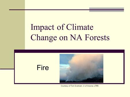 Impact of Climate Change on NA Forests Fire Courtesy of Tom Swetnam, U of Arizona, LTRR.