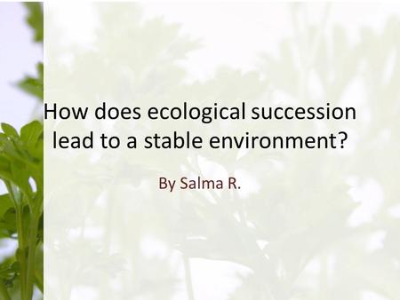 How does ecological succession lead to a stable environment? By Salma R.