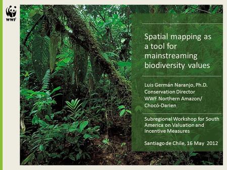 Spatial mapping as a tool for mainstreaming biodiversity values Subregional Workshop for South America on Valuation and Incentive Measures Santiago de.