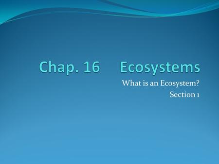 What is an Ecosystem? Section 1. Interactions of Organisms and Their Environment Ecology – the study of the interactions of living organisms with one.