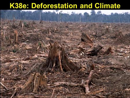 K38e: Deforestation and Climate. Forests Being Cut Faster Than They Can Grow Tropical deforestation, as countries scramble to clear-cut and sell off their.