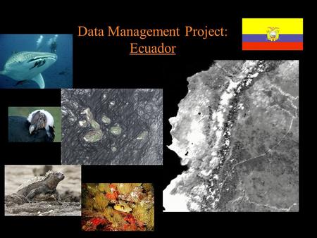 Data Management Project: Ecuador. Project Area Gradicule of the area Geographic coordinates: 5ºN -6ºS -94ºW -75ºW.