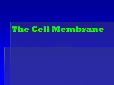 The Cell Membrane. Animal Cell Plant Cell Prokaryotic Cell: Bacteria.