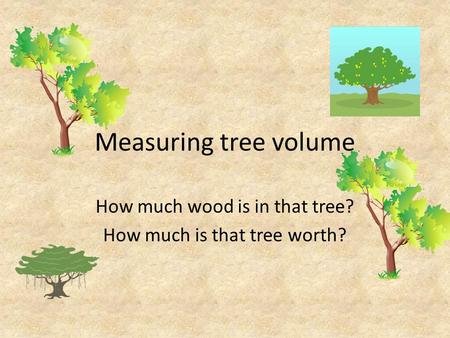How much wood is in that tree? How much is that tree worth?
