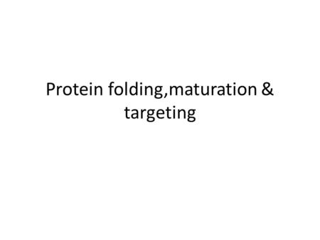 Protein folding,maturation & targeting. Secretory pathway: signal peptide recognition.