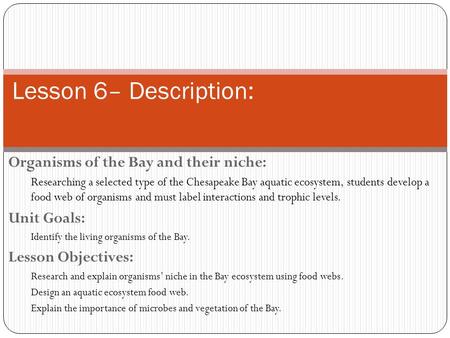 Lesson 6– Description: Organisms of the Bay and their niche: Researching a selected type of the Chesapeake Bay aquatic ecosystem, students develop a food.