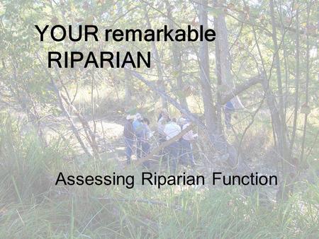 Assessing Riparian Function YOUR remarkable RIPARIAN.
