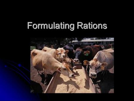 Formulating Rations. Ration vs Balanced Ration Ration: amount of feed provided for the animal Ration: amount of feed provided for the animal Balanced.