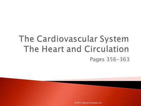The Cardiovascular System The Heart and Circulation