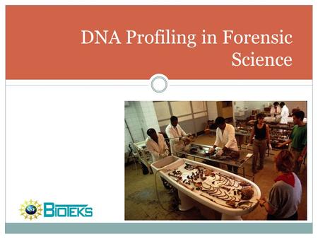 DNA Profiling in Forensic Science. Introduction DNA Profiling is the analysis of DNA samples to determine if they came from the same individual. Since.