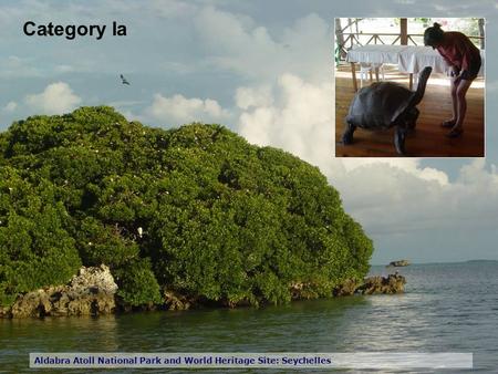 Category Ia Aldabra Atoll National Park and World Heritage Site: Seychelles.
