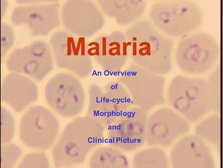 Malaria An Overview of Life-cycle, Morphology and Clinical Picture.