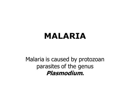 MALARIA Malaria is caused by protozoan parasites of the genus Plasmodium.