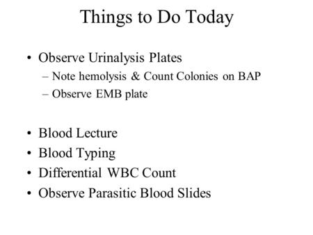 Things to Do Today Observe Urinalysis Plates –Note hemolysis & Count Colonies on BAP –Observe EMB plate Blood Lecture Blood Typing Differential WBC Count.