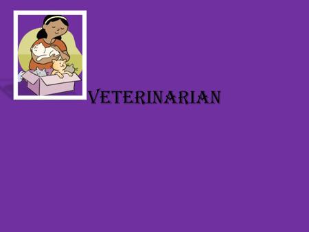 Veterinarian. Veterinarian job Duties Many veterinarians treat small companion animals. As a small animal vet, you may perform services such as spaying.