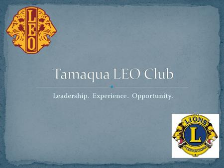 Leadership. Experience. Opportunity.. Who are the Tamaqua Leo’s? What does it mean to be a Leo? What do we do? How do I become a member? How is this group.