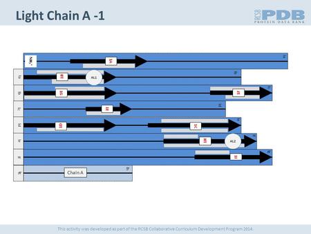 La lb lc ld le lh lg lf lg lf lb la lc ld le 1A 1D 1H 1I Light Chain A -1 1B 1F 1E 1C NH 3 + AL1 Chain A AL2 This activity was developed as part of the.