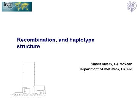 Recombination, and haplotype structure Simon Myers, Gil McVean Department of Statistics, Oxford.