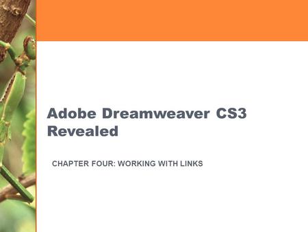 Adobe Dreamweaver CS3 Revealed CHAPTER FOUR: WORKING WITH LINKS.