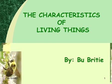 29/10/20071 THE CHARACTERISTICS OF LIVING THINGS By: Bu Britie.