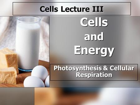 Cells and Energy Photosynthesis & Cellular Respiration Cells Lecture III.