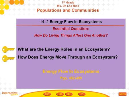 Populations and Communities Energy Flow In Ecosystems