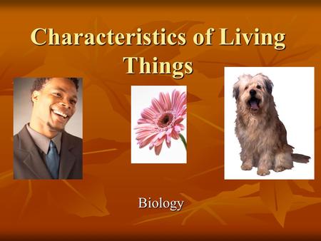 Characteristics of Living Things Biology. Objectives Be able to determine whether something is a living thing or a non-living thing. Be able to determine.