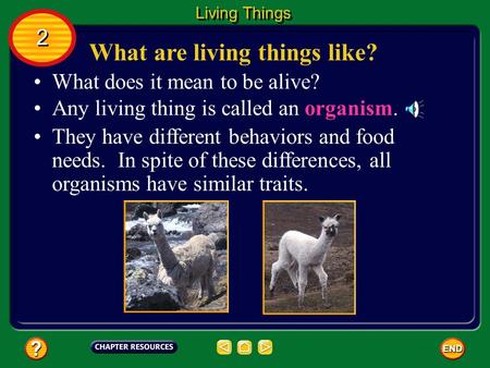 What are living things like? What does it mean to be alive? Any living thing is called an organism. They have different behaviors and food needs. In spite.