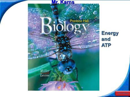 End Show Slide 1 of 20 Mr. Karns Energy and ATP. End Show Slide 2 of 20 8-1 Energy and Life.