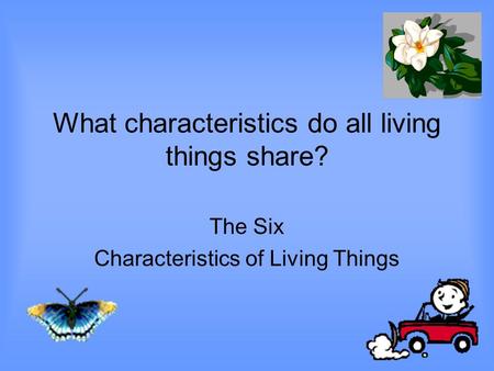 What characteristics do all living things share?