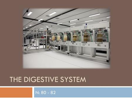 The Digestive System N: 80 - 82.