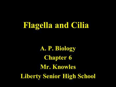 Flagella and Cilia A. P. Biology Chapter 6 Mr. Knowles Liberty Senior High School.