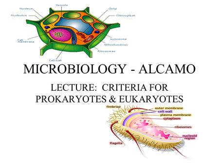 MICROBIOLOGY - ALCAMO LECTURE: CRITERIA FOR PROKARYOTES & EUKARYOTES.
