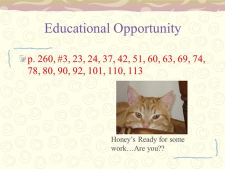 Educational Opportunity p. 260, #3, 23, 24, 37, 42, 51, 60, 63, 69, 74, 78, 80, 90, 92, 101, 110, 113 Honey’s Ready for some work…Are you??