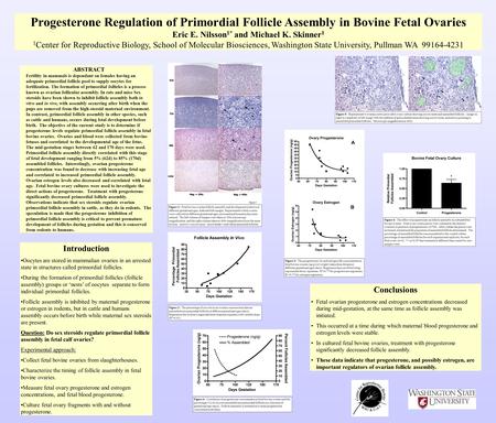 Progesterone Regulation of Primordial Follicle Assembly in Bovine Fetal Ovaries Eric E. Nilsson 1* and Michael K. Skinner 1 1 Center for Reproductive Biology,