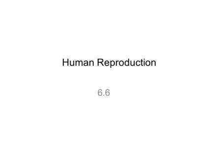 Human Reproduction 6.6.