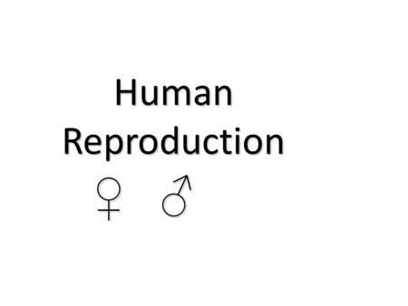 Human Reproduction ♀ ♂. Reproduction BINGO Free Space and…. Cervix Clitoris Estrogen Progesterone Fertilization Menstruation Menstrual Cycle Ova Ovaries.